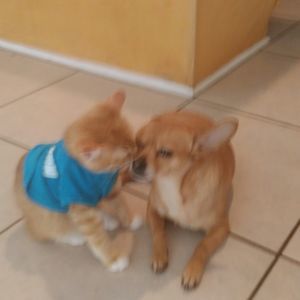 Meet your Posher, Donna